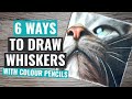 6 Methods For Drawing Whiskers With Colour Pencils