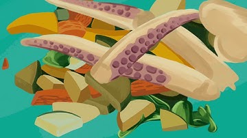 Virtual Art Exhibition - Year 13 A Level Coursework - Personal Investigation