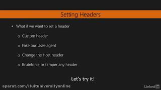 Python request library - head and headers