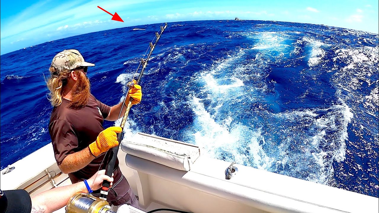 Live Baiting a GIANT Mahi Mahi in Hawaii!! YouTube