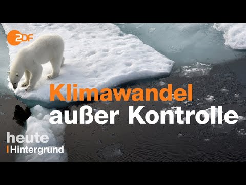 Angst um die Arktis: Ist der Klimawandel außer Kontrolle?
