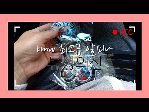 BMW최고등급 알피나!!??  자동차의신(Shin)고성능 알피나를 만들자!!