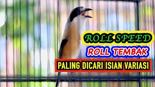 VARIASI SUARA CENDET ROLL SPEED DAN ROLL TEMBAK, PANCINGAN CENDET FULL ISIAN JERNIH