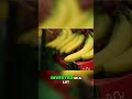 Brazil's Agriculture: Mega-Corps, Soybeans, and Family Farms #shorts