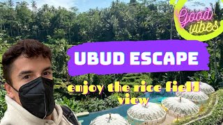 Ubud Escape 🌾Enjoy The Rice Field View At Tis Cafe Ubud
