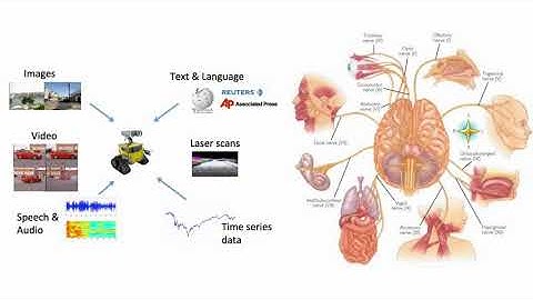 Deep Learning Bioengineering