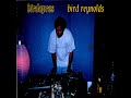 Birdapres - You'd Like It (2000)