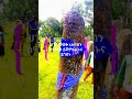 Visit Gedeo Gedeo Comedy Bestmusic Visit Gedeo Gedeo Comedy Bestmusic