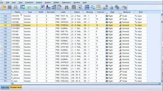 POSC 182: How to Insert Text Comments into SPSS Output