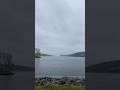 Moments by the Water❤️😍#nature #water #love #animals #shortvideo #canada #life#coffee #tea