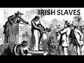 Truth about the irish  first slaves brought to the americas  forgotten history