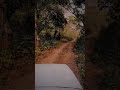 കാട്ടിലൂടെ ഒരു യാത്ര #bolero #shorts #offroad #ride #travel #mahindra -#adventure #forest #drive