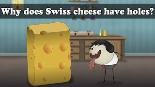 Why does Swiss cheese have holes? | #aumsum #kids #science #education #children