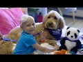 Chla dog therapy program 2017