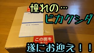 【ビカクシダ】遂に…憧れの…〇〇株！！