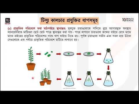 অধ্যায় ১৪ : জীবপ্রযুক্তি - জীবপ্রযুক্তি, টিস্যু কালচার ও টিস্যু কালচারের ব্যবহার [SSC]