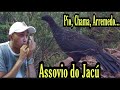 Como Fazer Pio, Chama, Arremedo ASSOVIO DO JACÚ