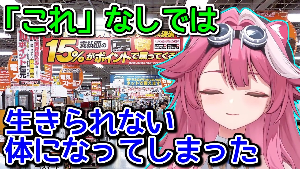 日本の必需品がヨーロッパでは普及してないという話【ホロライブ切り抜き / 英語解説 / ラオーラ】