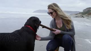 Westwood Sunglasses Timbermine Collection 2.0 Kickstarter Video