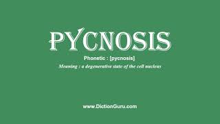 pycnosis: Pronounce pycnosis with Meaning, Phonetic, Synonyms and Sentence Examples
