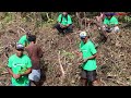 Healing Samoa’s forests
