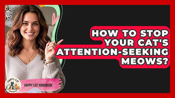 How To Stop Your Cat