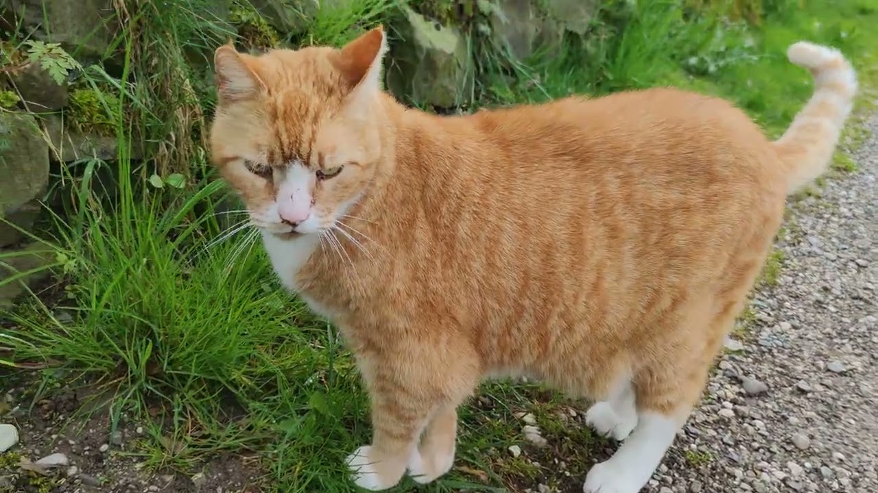 2023-05-01 Walking in Seeshaupt