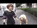 【密着取材】巷で噂の飼い主と大型プードル