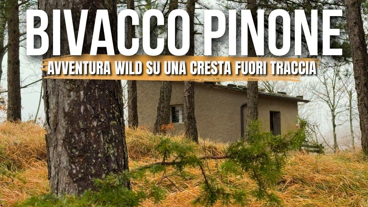 Trekking al BIVACCO PINONE da una CRESTA FUORI TRACCIA - Avventura nelle Foreste Casentinesi [4k]