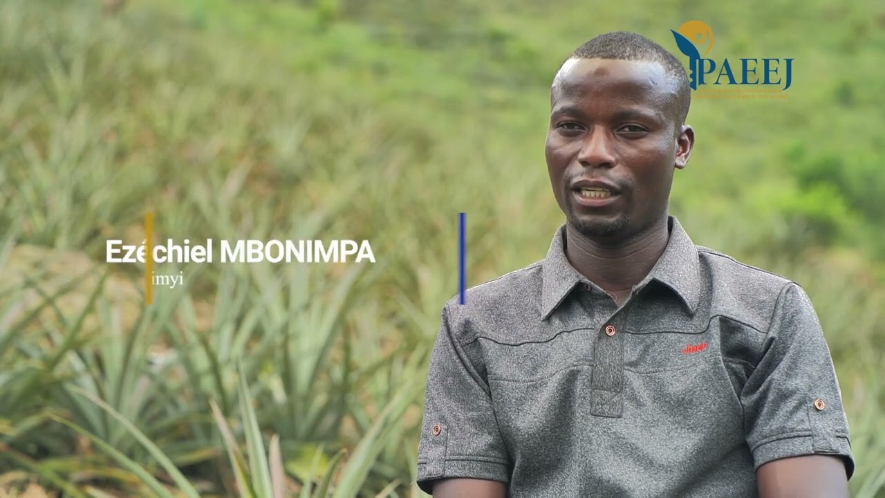 🍍💰 Nta miriyoni 30 zomfunga . Kubwa PAEEJ, Ezéchiel MBONIMPA afise umurima w'inanasi wa 50 ha ! 😍