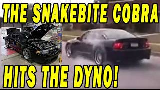THE OG Snakebite 03 Kenne Bell Cobra Hits the Dyno