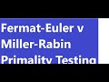 Fermat-Euler vs Miller-Rabin: Which Is Better for Primality Testing? 🔍
