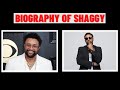DMZ- The Biography of Shaggy...