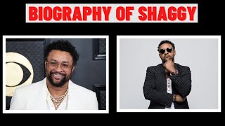 Famous DMZ- The Biography of Shaggy... Net Worth