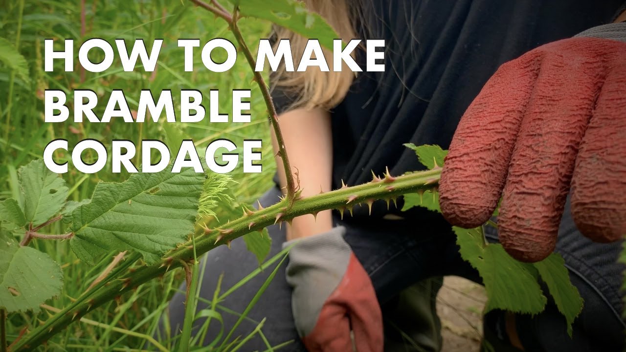 How to Make Bramble Cordage YouTube