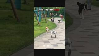 Dog 🐕 Vs robot dog fact short video #viralvideo #allfacts #youtubeshorts