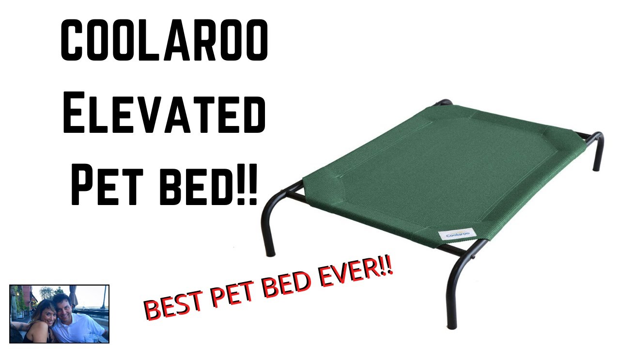 Coolaroo Elevated Pet Bed Unboxing and Build!! YouTube