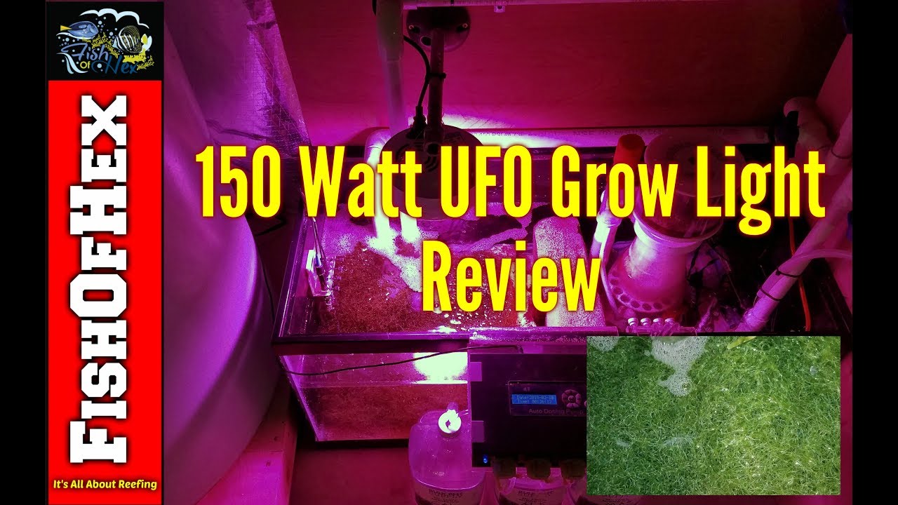 UFO Refugium Grow Light Four Month Review | Could It Be The Next Best  Thing? - YouTube