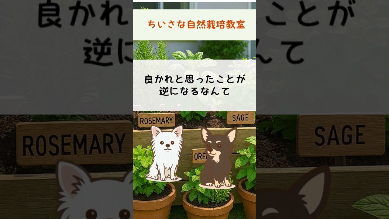 詳しくは本編で。#shorts #自然栽培