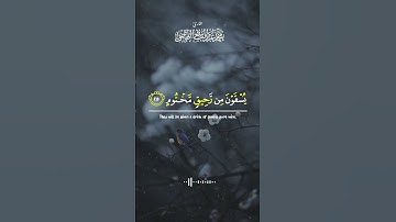 #قرآن #تلاوة #تلاوة_خاشعة #سورة_المطففين #quranvideo #القارئ #الشيخ #محمد #عبدالباسط #الهاشمي