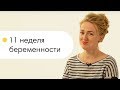 Скоро первый скрининг. 11 неделя беременности. Беременность по неделям.