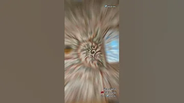 جامع آدم بيك تيرانا ألبانيا 