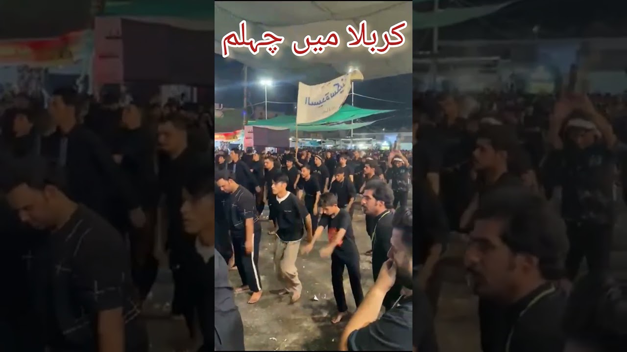 Chehlum Imam Hussain In Karbala | Arbaeen 2025 | Iraqi Azadari | Matamdari #shorts #short