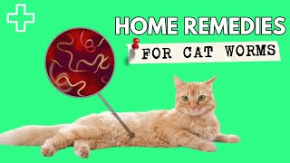 Home Remedies For Worms In Cats - Natural Dewormer For Cats