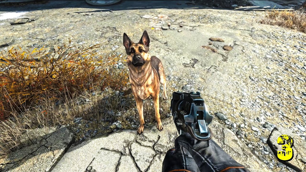 The Ultimate Fallout 4 Playthrough with Mods : Meeting Dogmeat