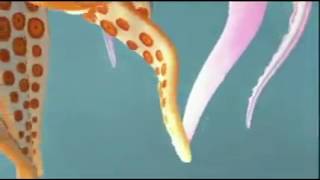 Video Ubur ubur download MP3, 3GP, MP4, WEBM, AVI, FLV Agustus 2018 Video Ubur ubur download MP3, 3GP, MP4, WEBM, AVI, FLV Agustus 2018