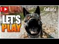 FALLOUT 4 - Sunday Hang Out #fallout4