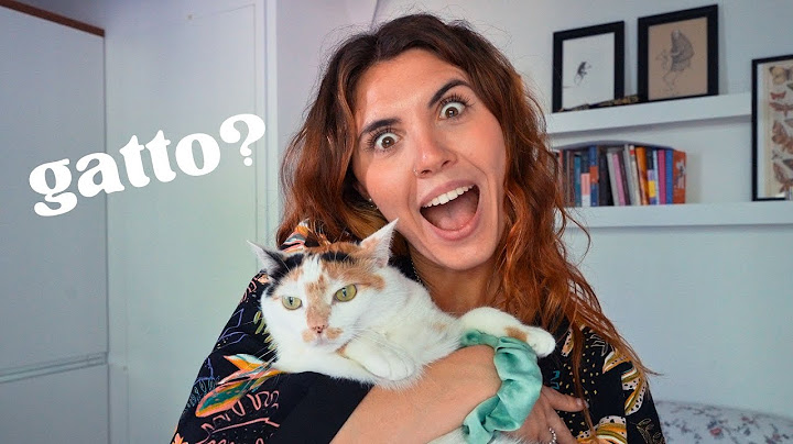 VI SPIEGO TUTTO 🐈 #summervlog