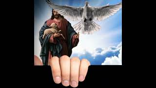 El Acabado El Que Lo Critica