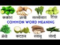 Common English Words with Hindi meaning | Daily English Speaking Word Meaning | English Vocabulary